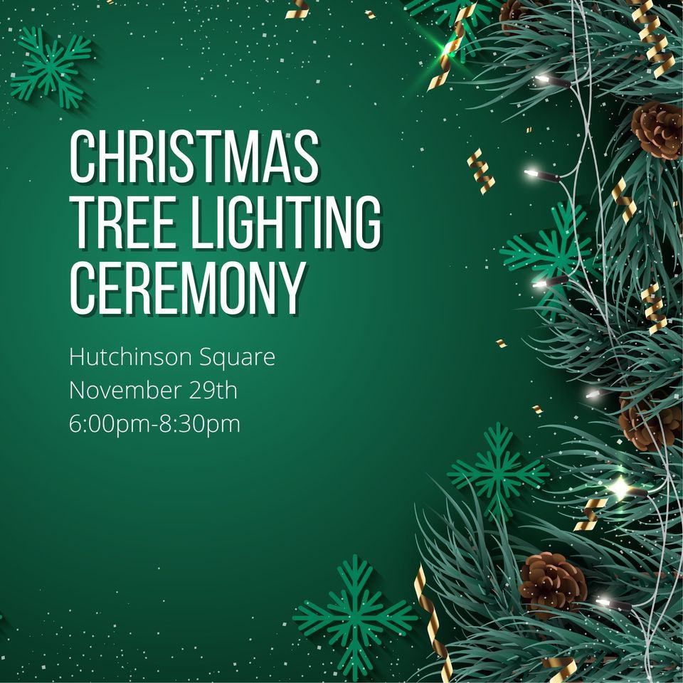 Christmas Tree Lighting Hutchinson Square, Summerville, SC November