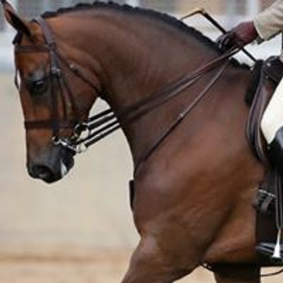 Equestrian Events & All Horse Shows