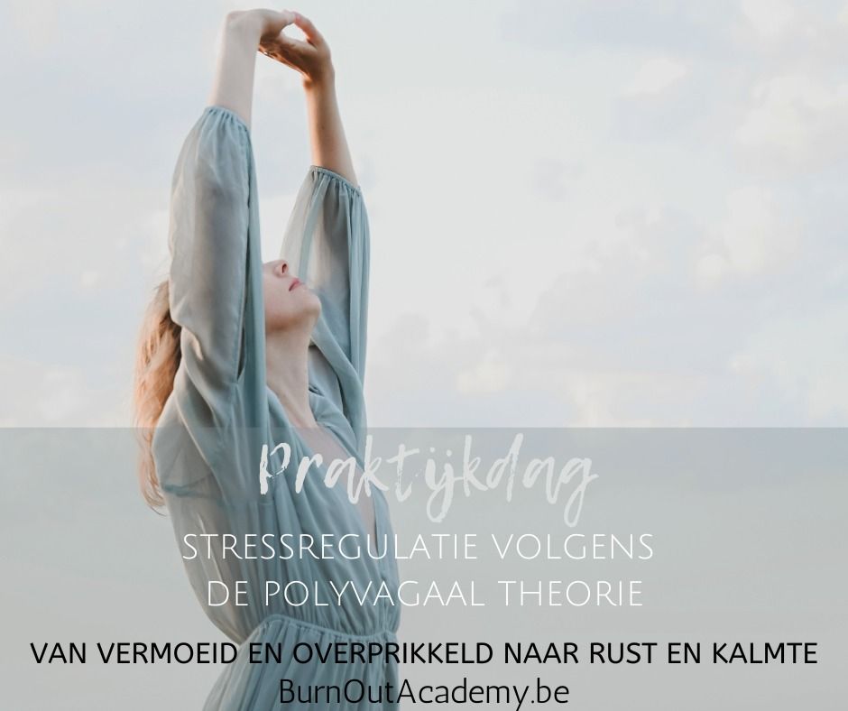 Polyvagaal Theorie In De Praktijk - Stress Reguleren Met De Inzichten ...