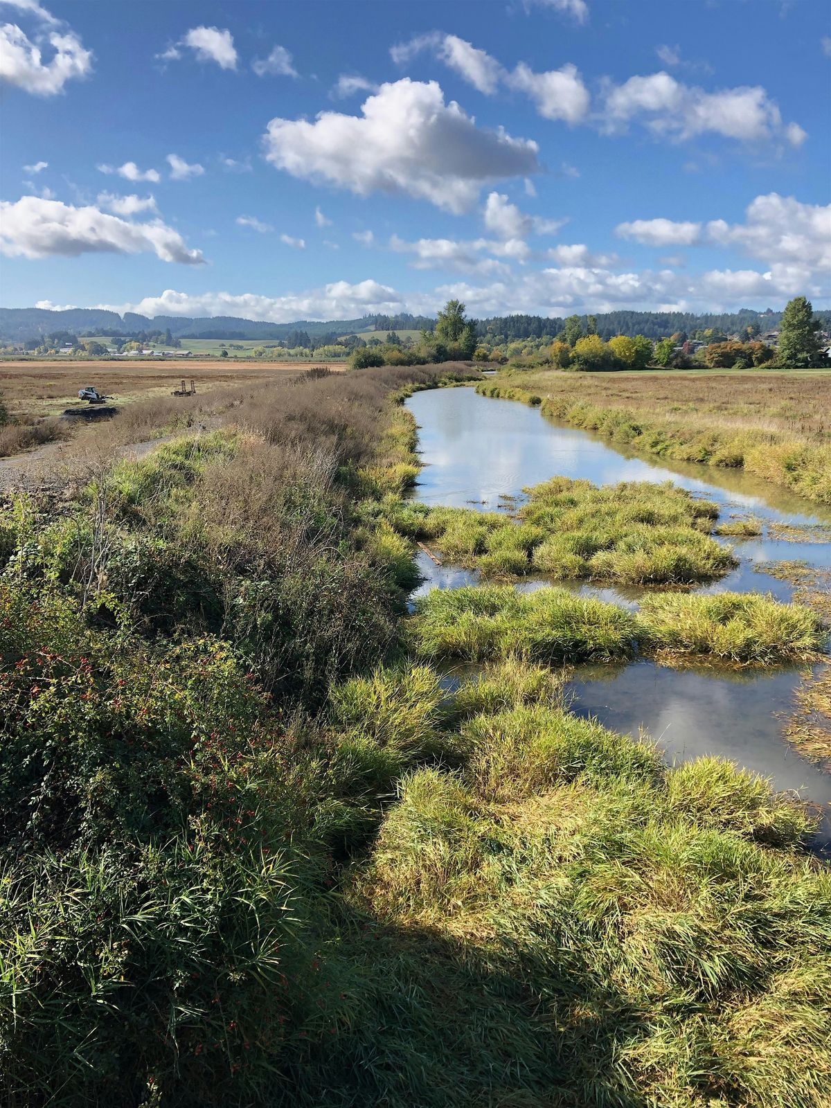 North Willamette Valley Regional eDNA Meeting