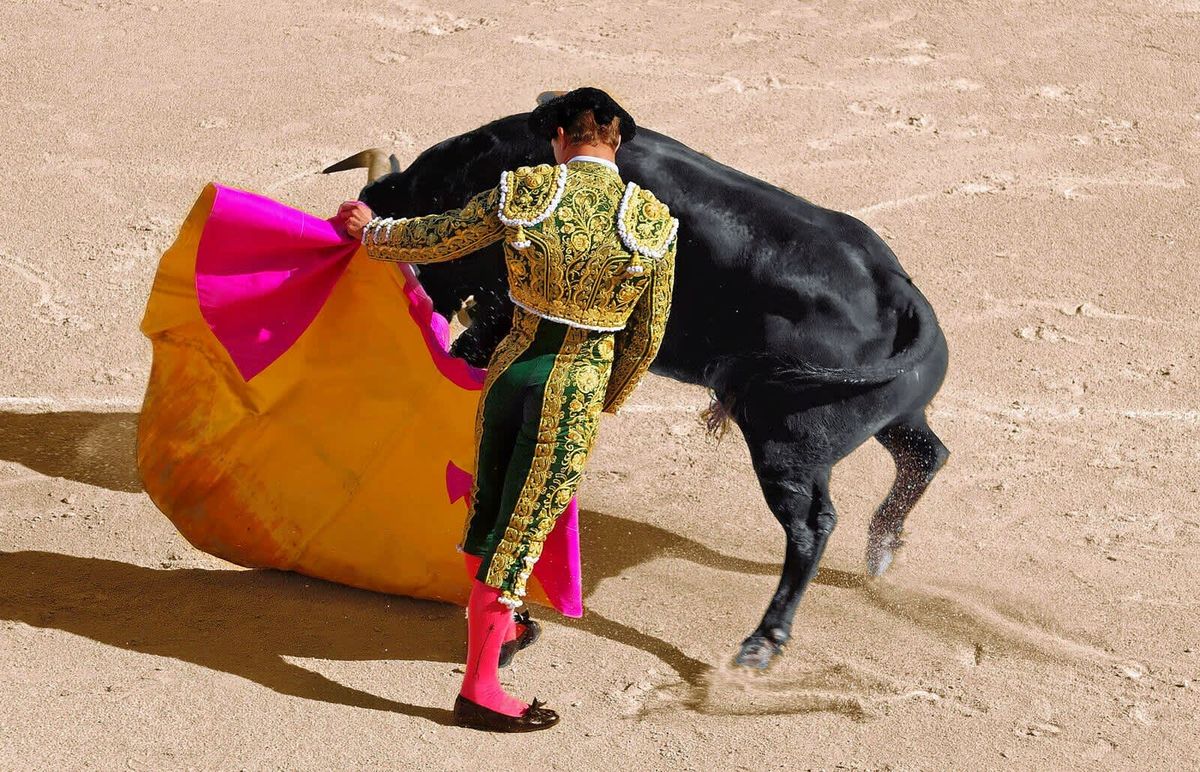 Bullfighting Madrid 2026 - Emiliano Osornio, Pedro Montaldo & Julio M\u00e9ndez - Novillada con picadores Tickets