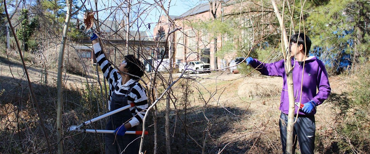 Volunteer in the Eco-Corridor for Richmond Invasive Plant Week: February 27