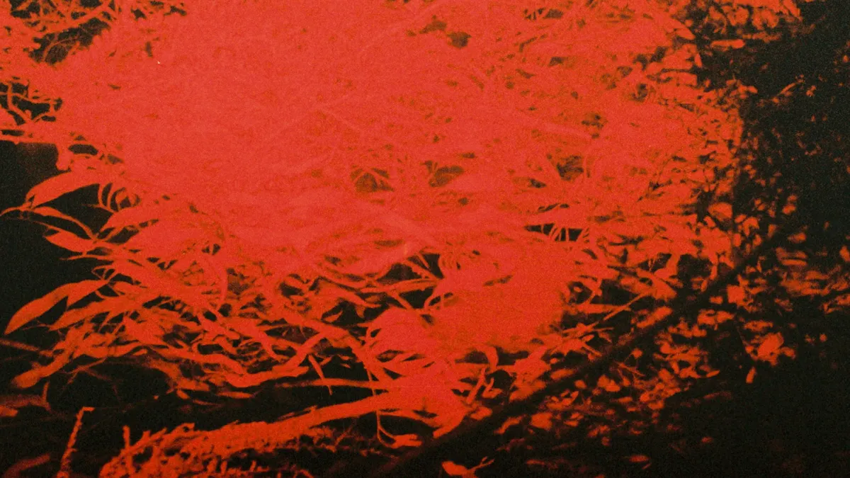 Anthony Naples, Floorplan, Monolithic, Dennis Free, Lee Cash, DONIS in New York