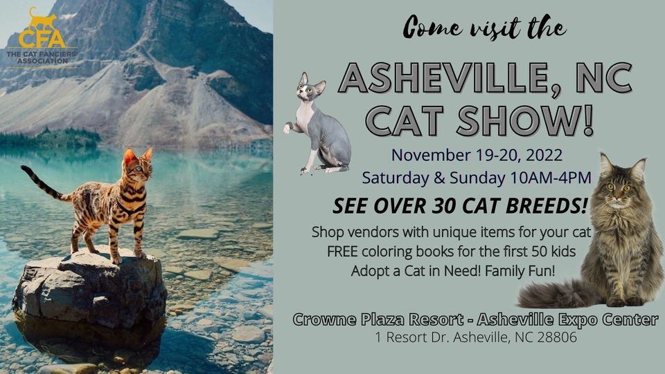 Come visit the Asheville, NC Cat Show & Adoption Event!