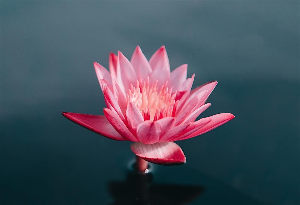 Nonduality and Meditation II [Winter]