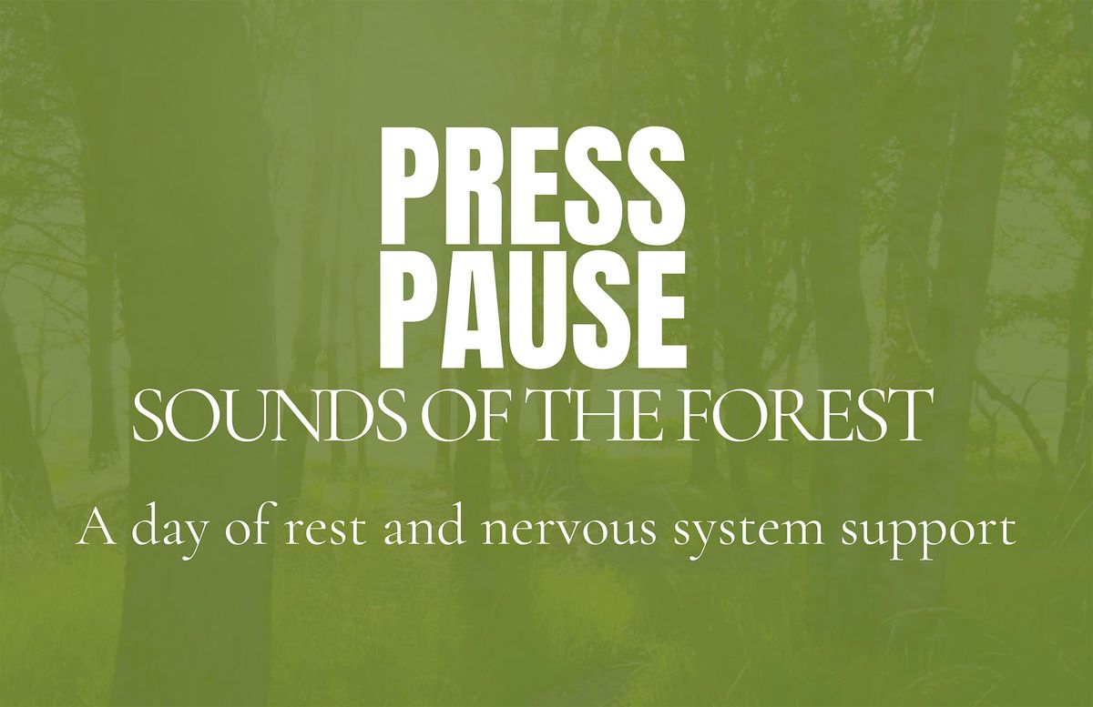 Press Pause | Sounds of the Forest Retreat