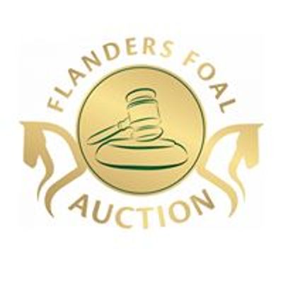 Flanders Foal & Embryo Auction