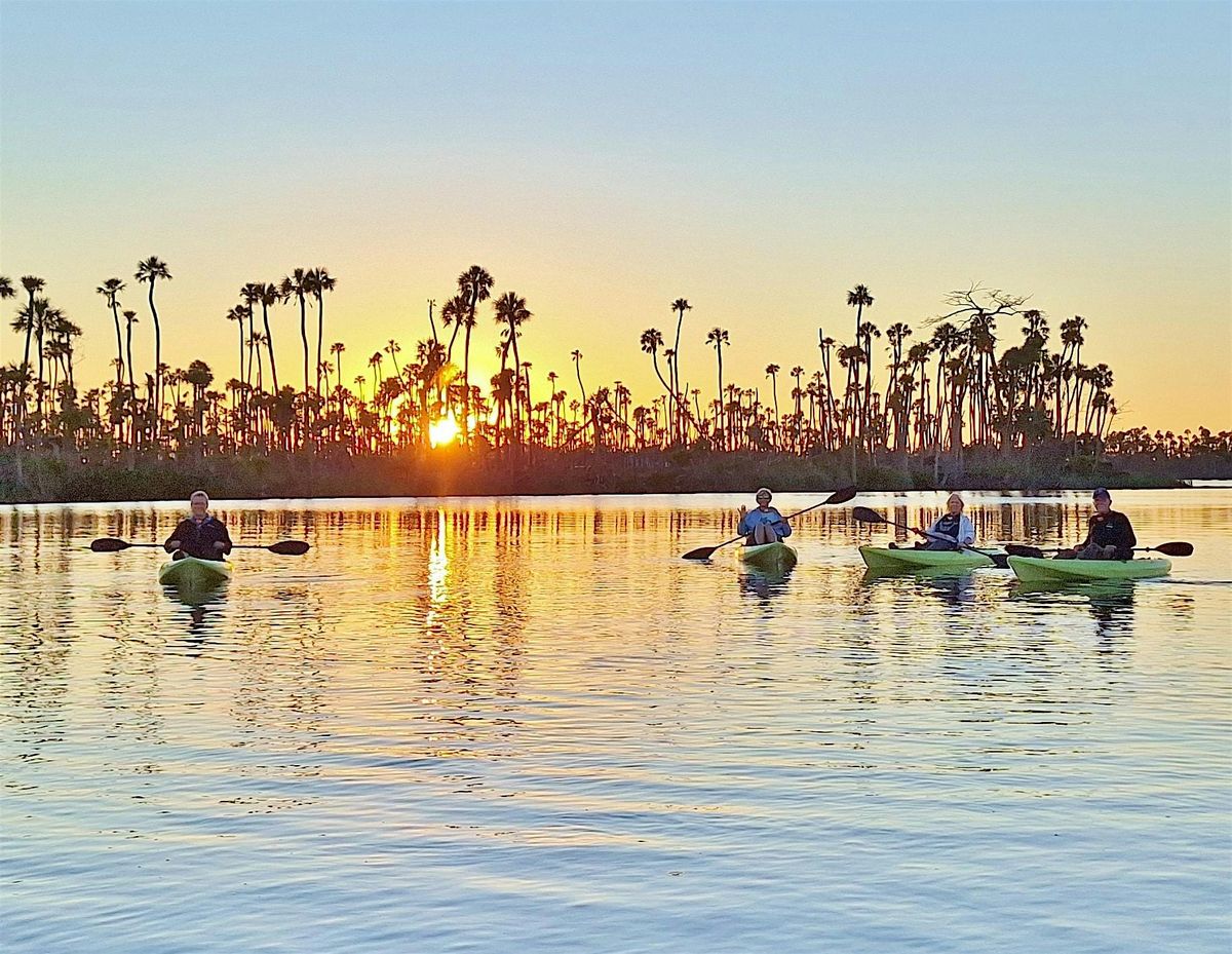 Scenic Sunset Kayaking Tour