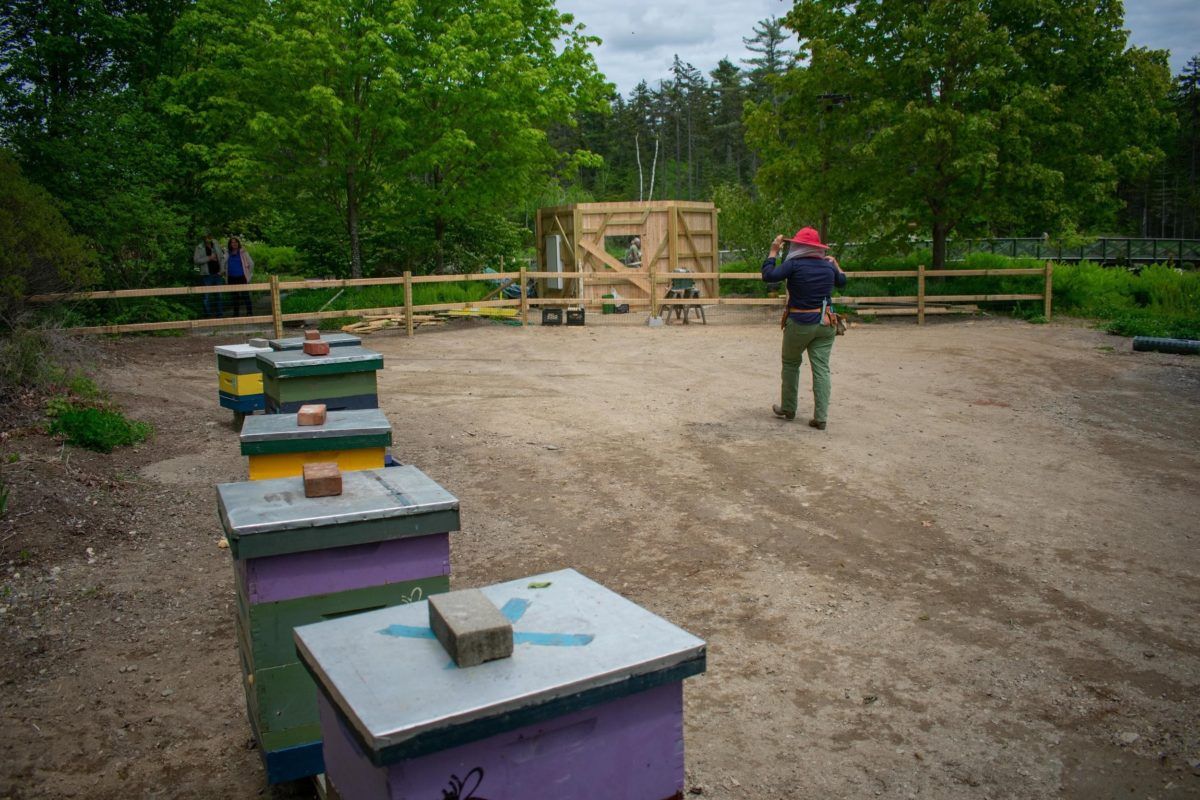 Parking The Hives with The Chats