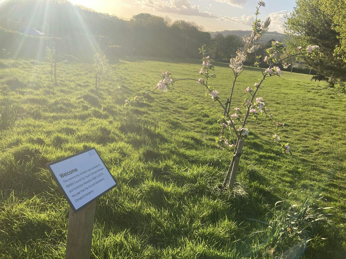 Orchard Pruning with Jonathan