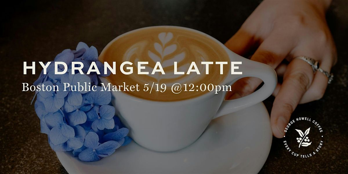Hydrangea Latte