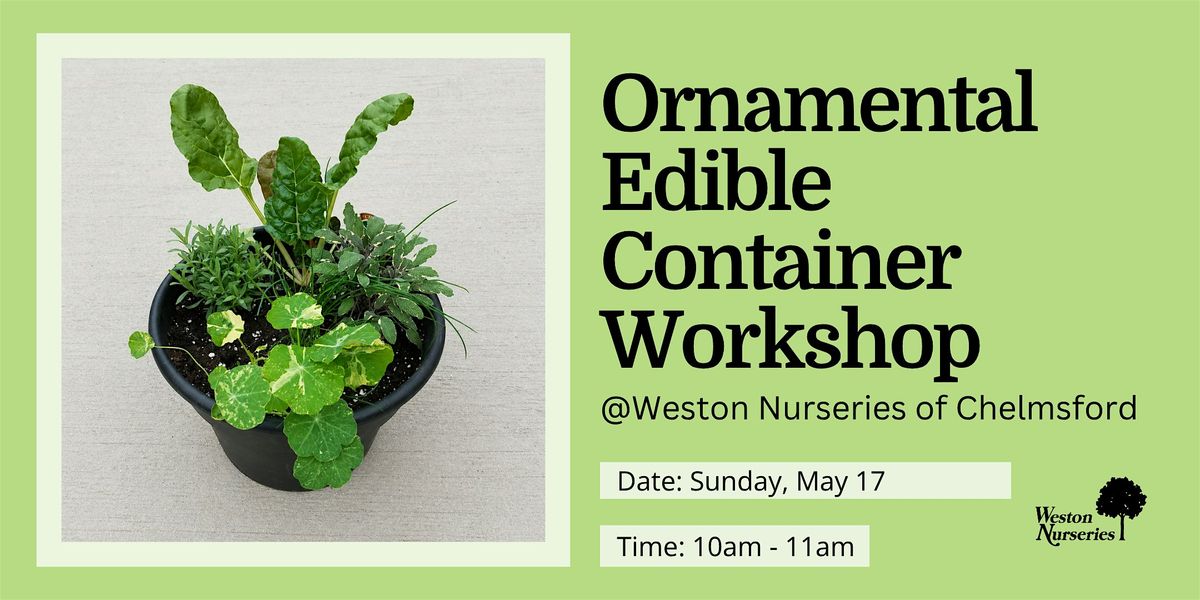 Ornamental Edible Container Workshop At Weston Nurseries of Chelmsford