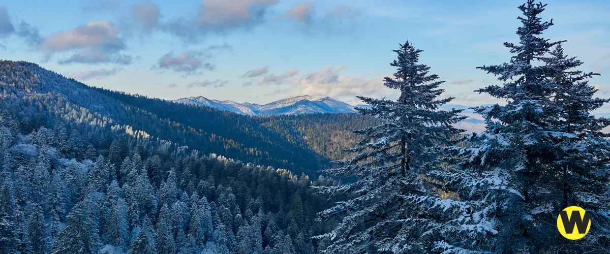 A Swannanoa Solstice at Diana Wortham Theatre at Wortham Center for the Performing Arts