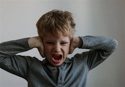 Addressing Challenging Behaviors