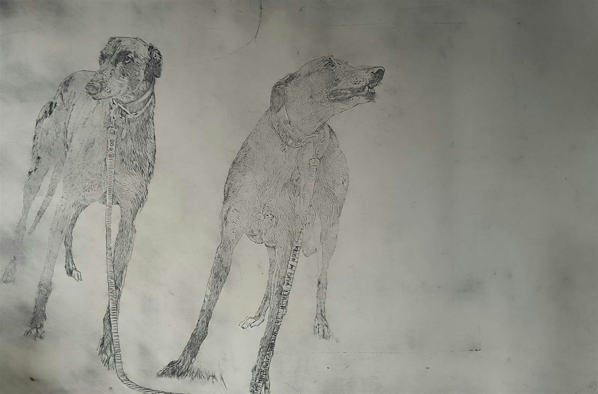 6 Week drawing Introduction