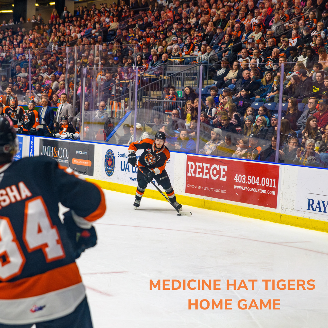 Medicine Hat Tigers at Prince Albert Raiders at Art Hauser Centre