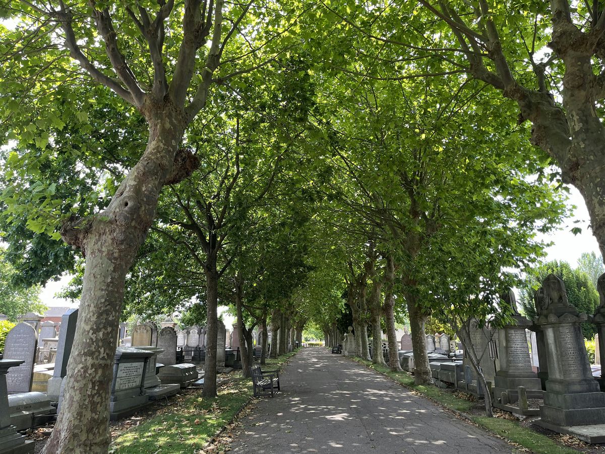 Guided Walk: Hidden Histories: The Stories of Willesden Jewish Cemetery