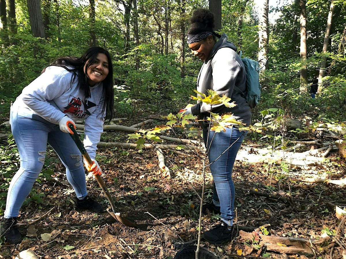 Forest Park, Queens tree planting