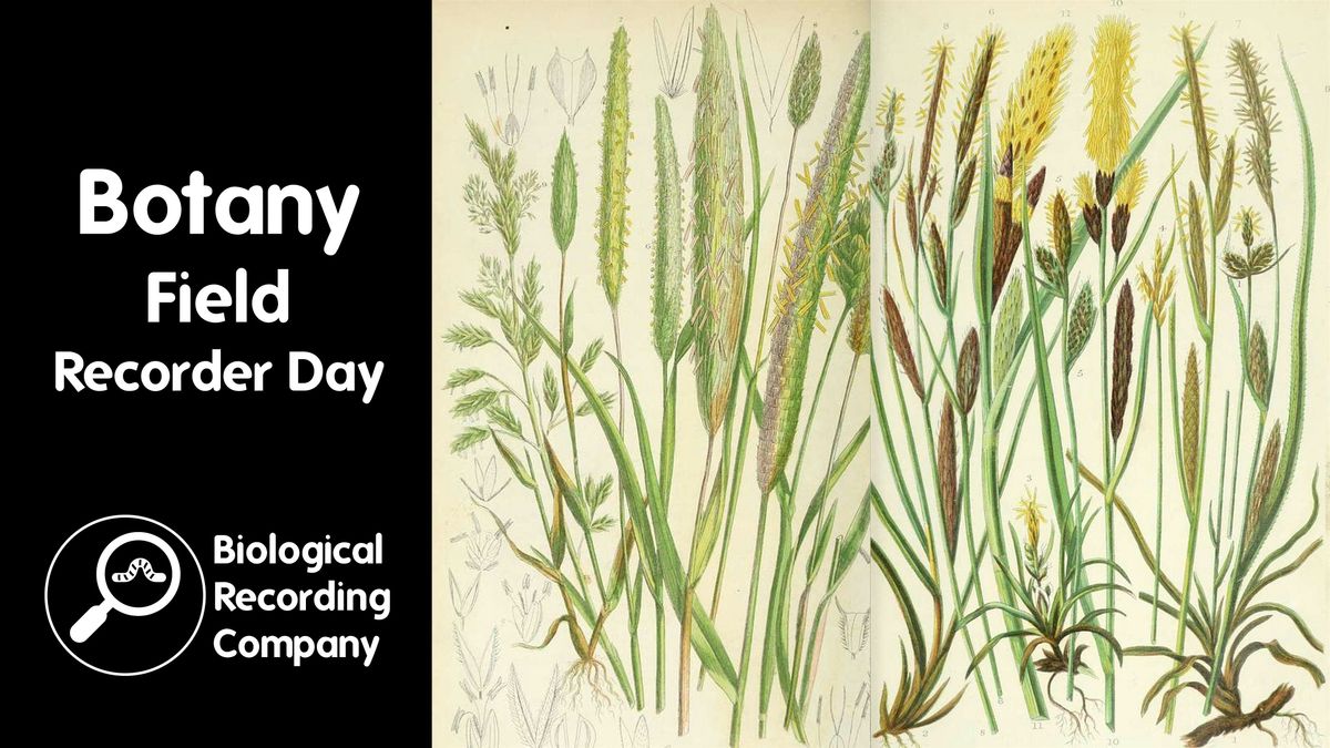 Botany Field Recorder Day