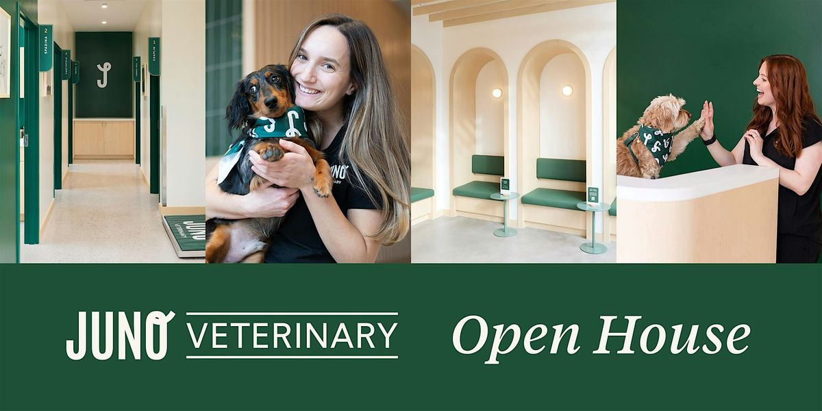 Open House at Juno Vet Kitsilano Clinic