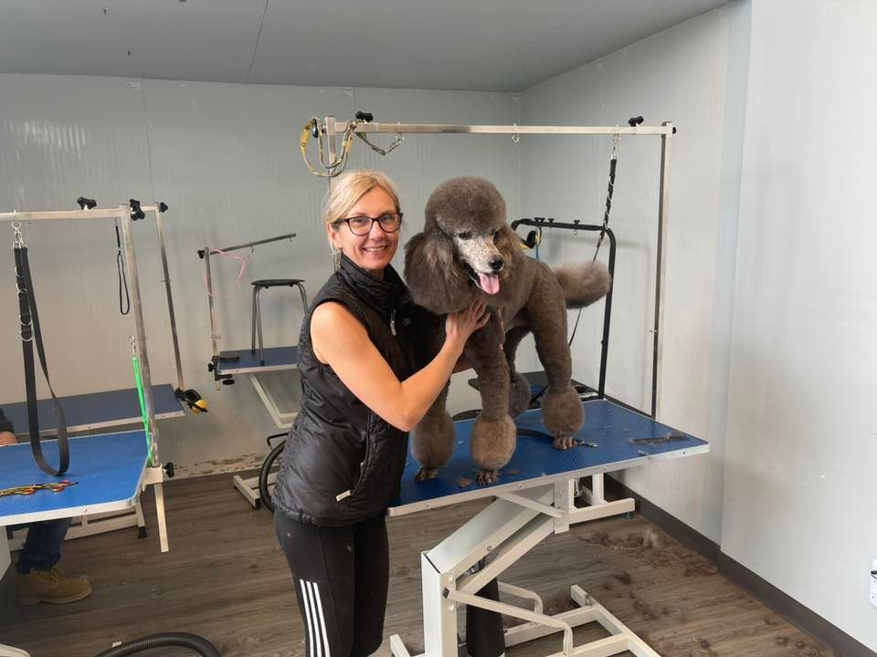 SPEED GROOMING SEMINAR EDMONTON LOCATION 10933 166A St NW, Edmonton