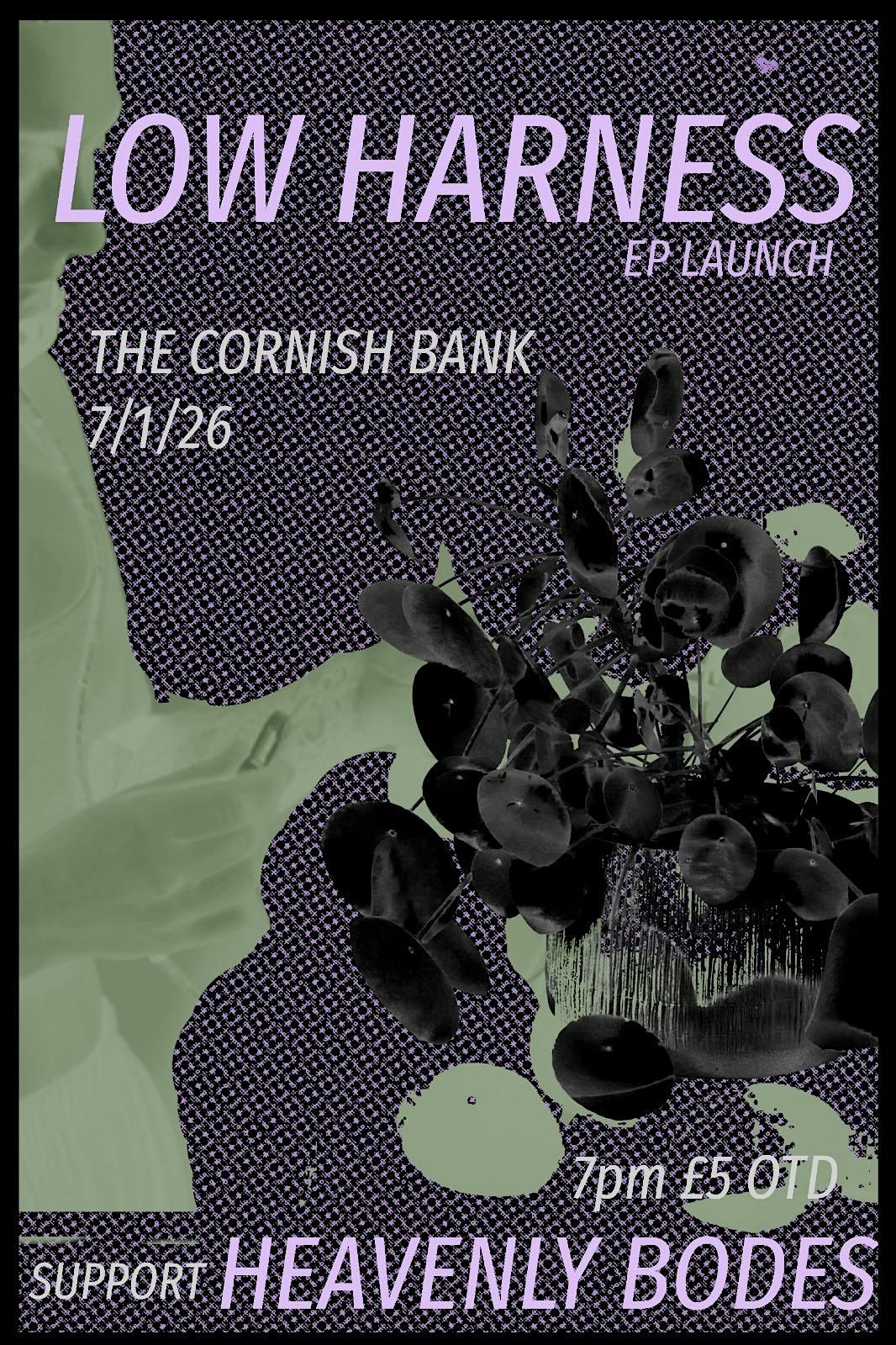 LOW HARNESS w\/ HEAVENLY BODES