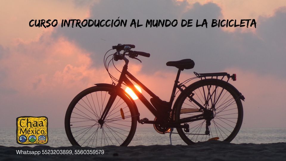 Curso de Introducción al Mundo de la Bicicleta enfoacado al MTB. | Chaa