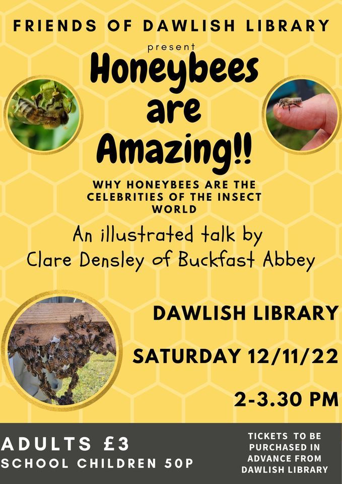 Honeybees are Amazing! | Dawlish Library, Brixham, EN | November 12, 2022