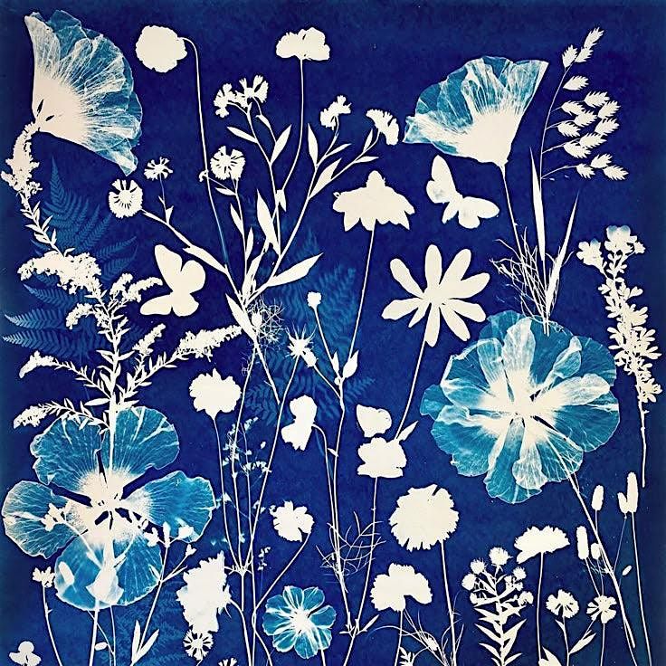 Cynotype Botanical Print Making