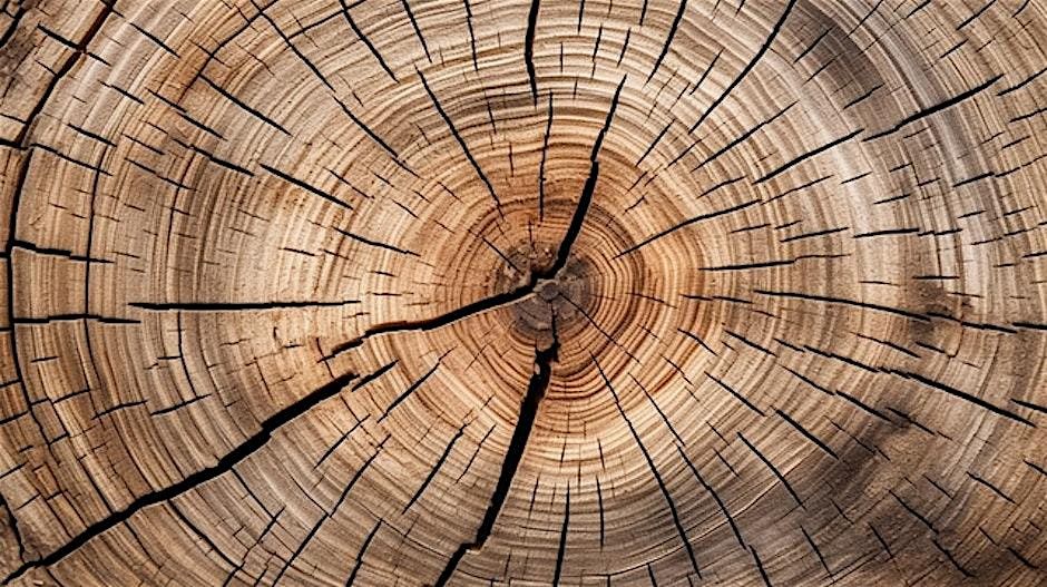 Men\u2019s Circle \u2013 Polarities