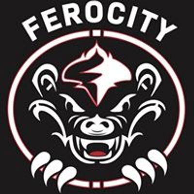 Ferocity ATA Martial Arts