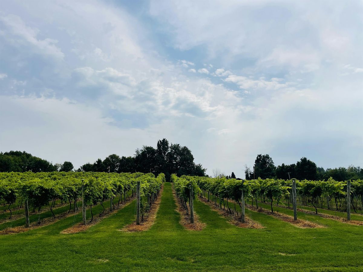 Wander the Winery