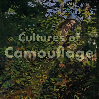 CRASSH I Cultures of Camouflage