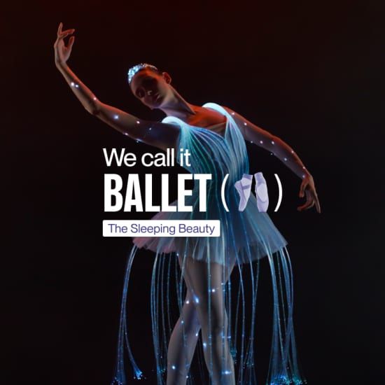 We call it Ballet: Doornroosje, de dans- en lichtshow
