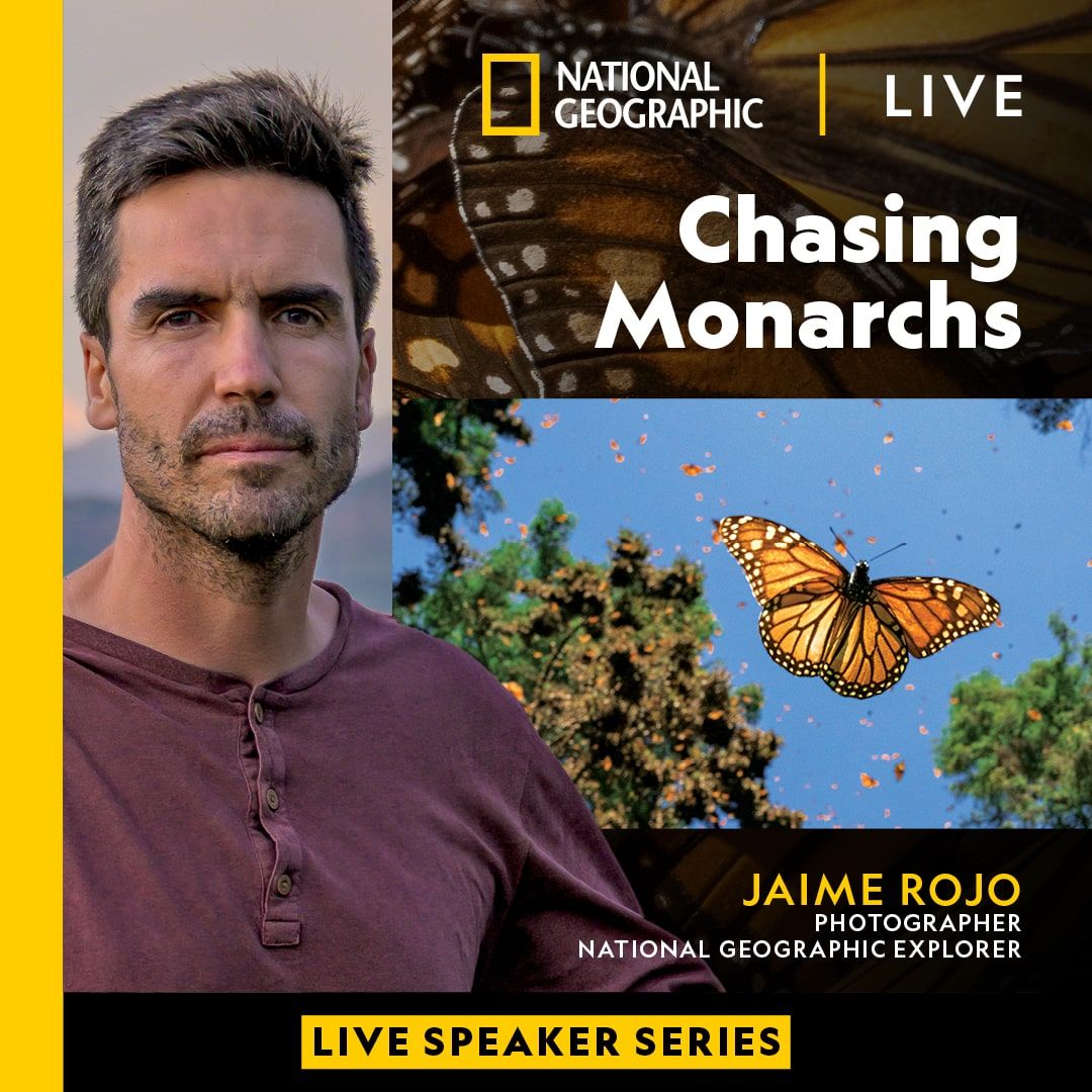 National Geographic Live - Chasing Monarchs