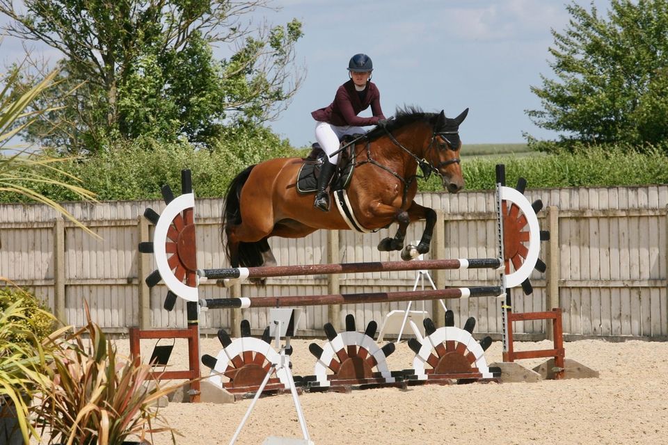 British Showjumping plus Unafil 60, 70, 80cm Unafil Port Royal EEC