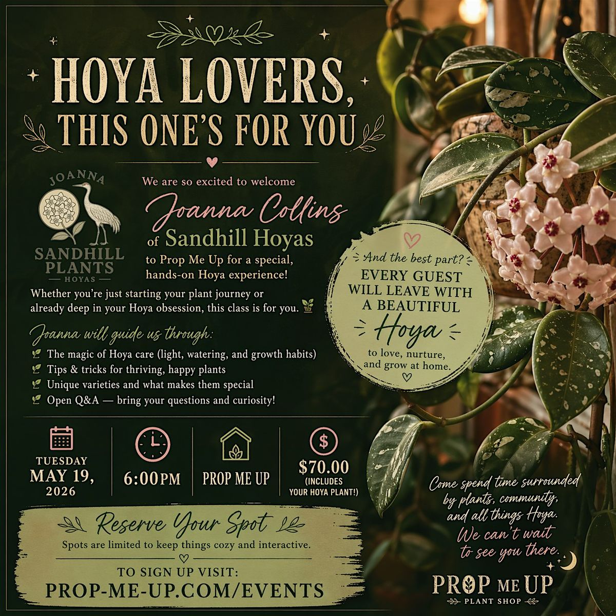 It's Hoya Time \u2013 Come Learn About Hoyas