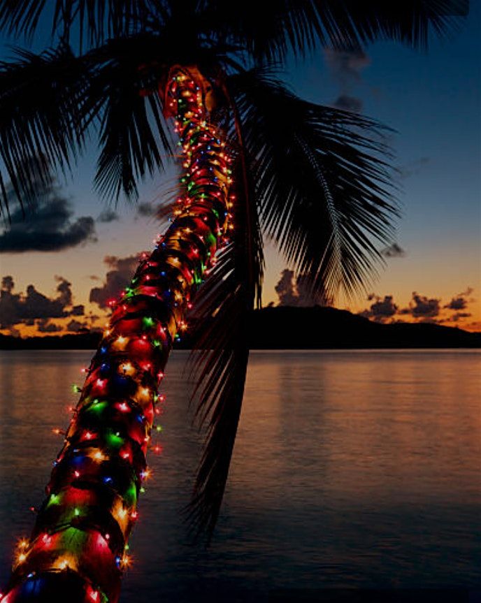 A Caribbean Christmas Carol adapted and directed by Jacqueline Wade