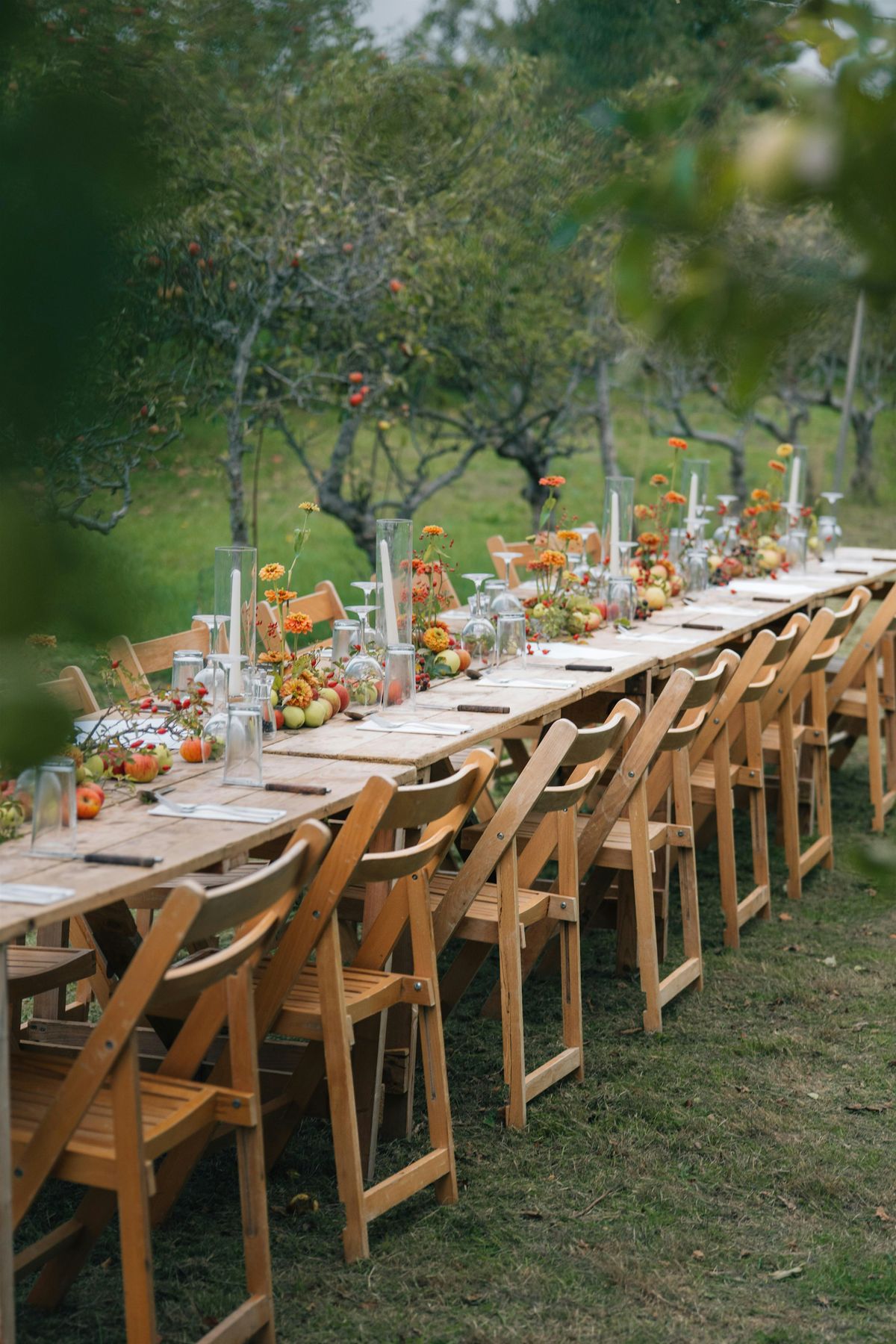 Orchard Feast