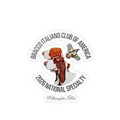 Bracco Italiano Club of America Trophy Sponsorship for 2026 NS & PS Shows