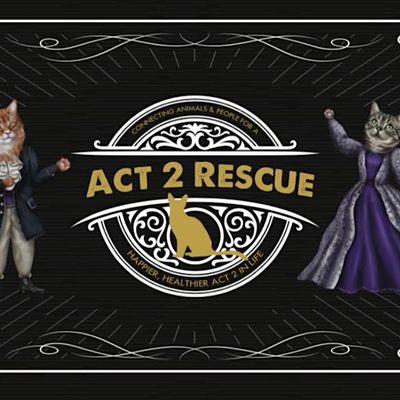 Act 2 Rescue