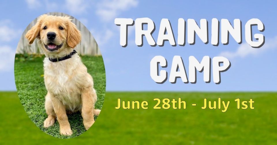 Training Camp Astro Kennels, Simpsonville, SC June 28 to July 1
