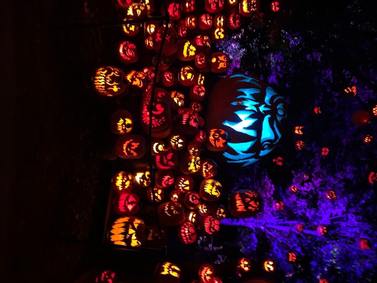 Sub Urban at Bottleneck