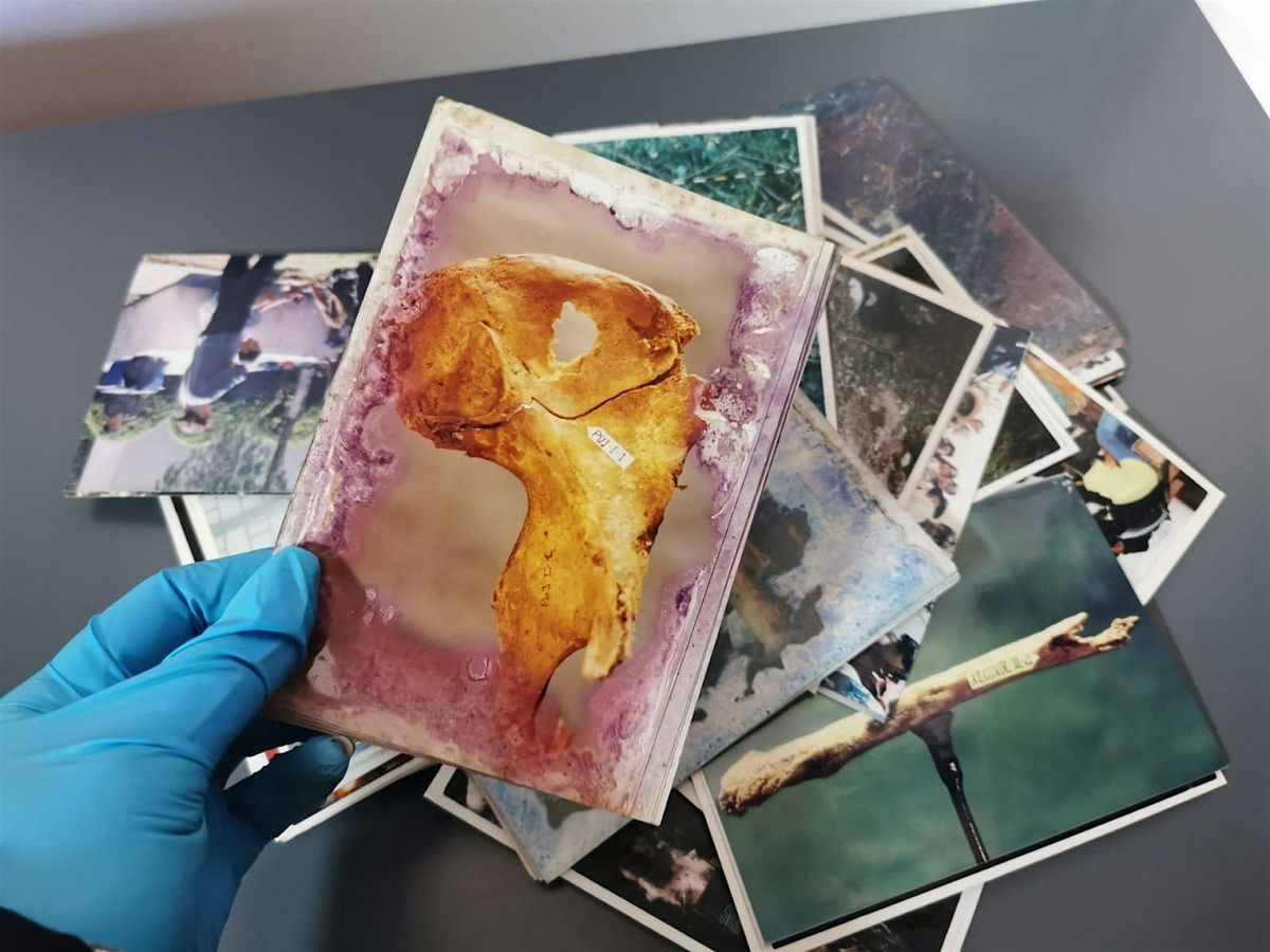 Difficult Pasts: the Ethics and Aesthetics of Telling Difficult Histories