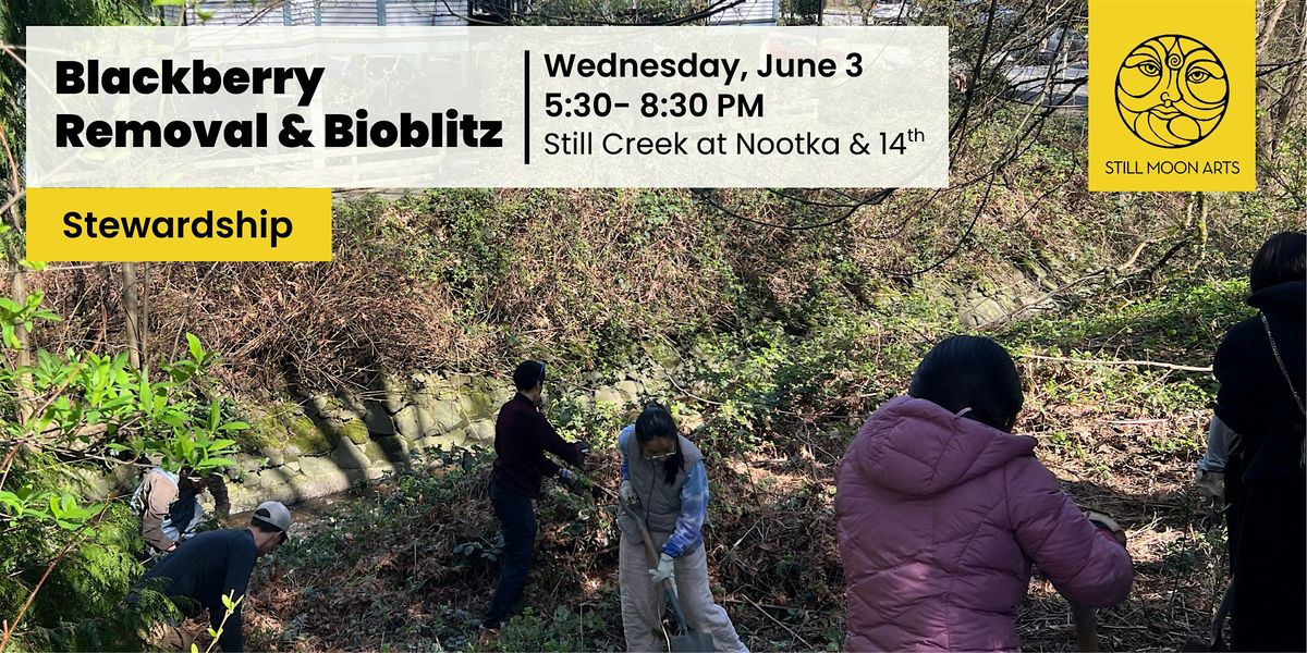 Blackberry Removal & Bioblitz at Nootka & 14th