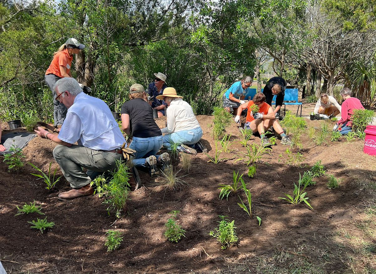 Surfside Rain Garden Workshop