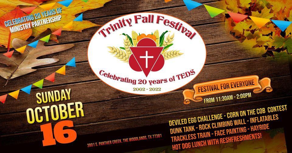 Trinity Fall Festival - Celebrating 20 years of TEDS | Trinity ...