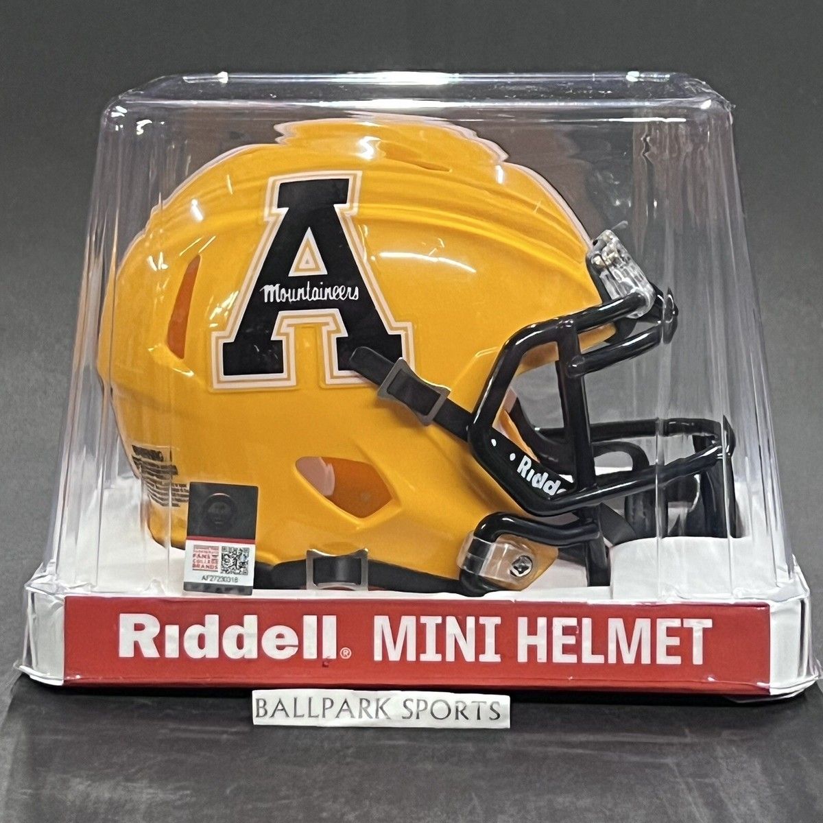 Ohio State Buckeyes vs. Appalachian State Mountaineers