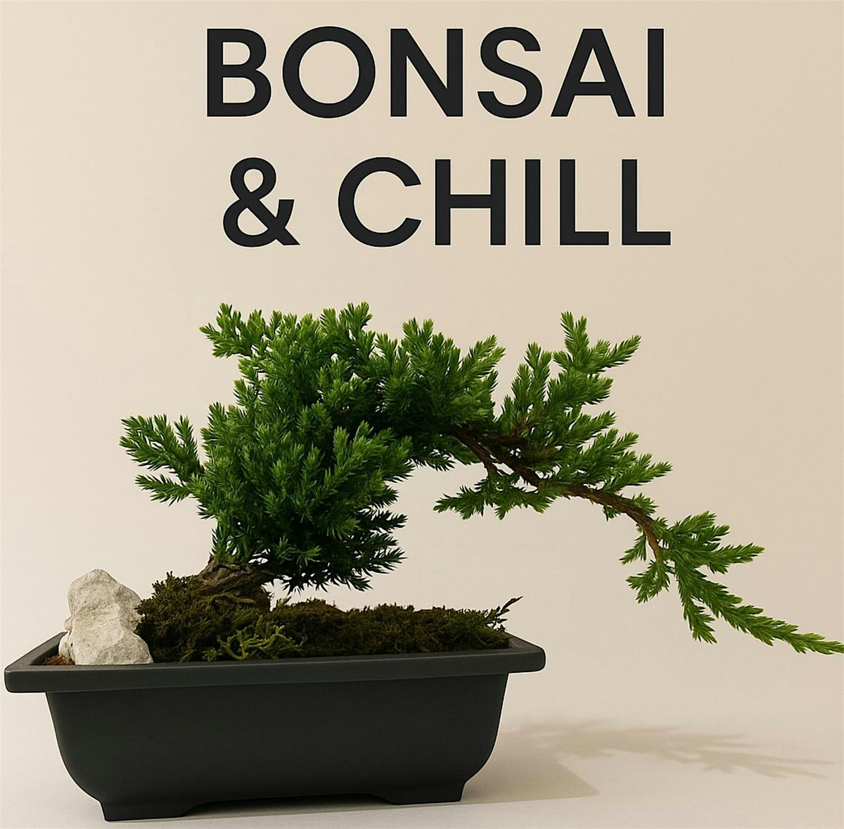 Chicago Date Night Bonsai for Beginners: Hands-On Workshop