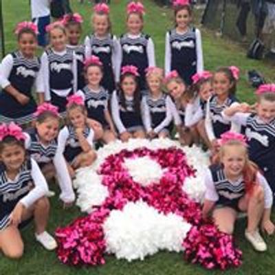 Plymouth Vikings Youth Football and Cheer